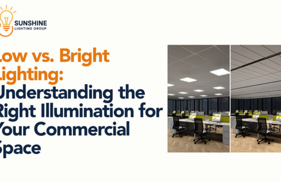 Low vs. Bright Lighting: Understanding the Right Illumination for Your Commercial Space
